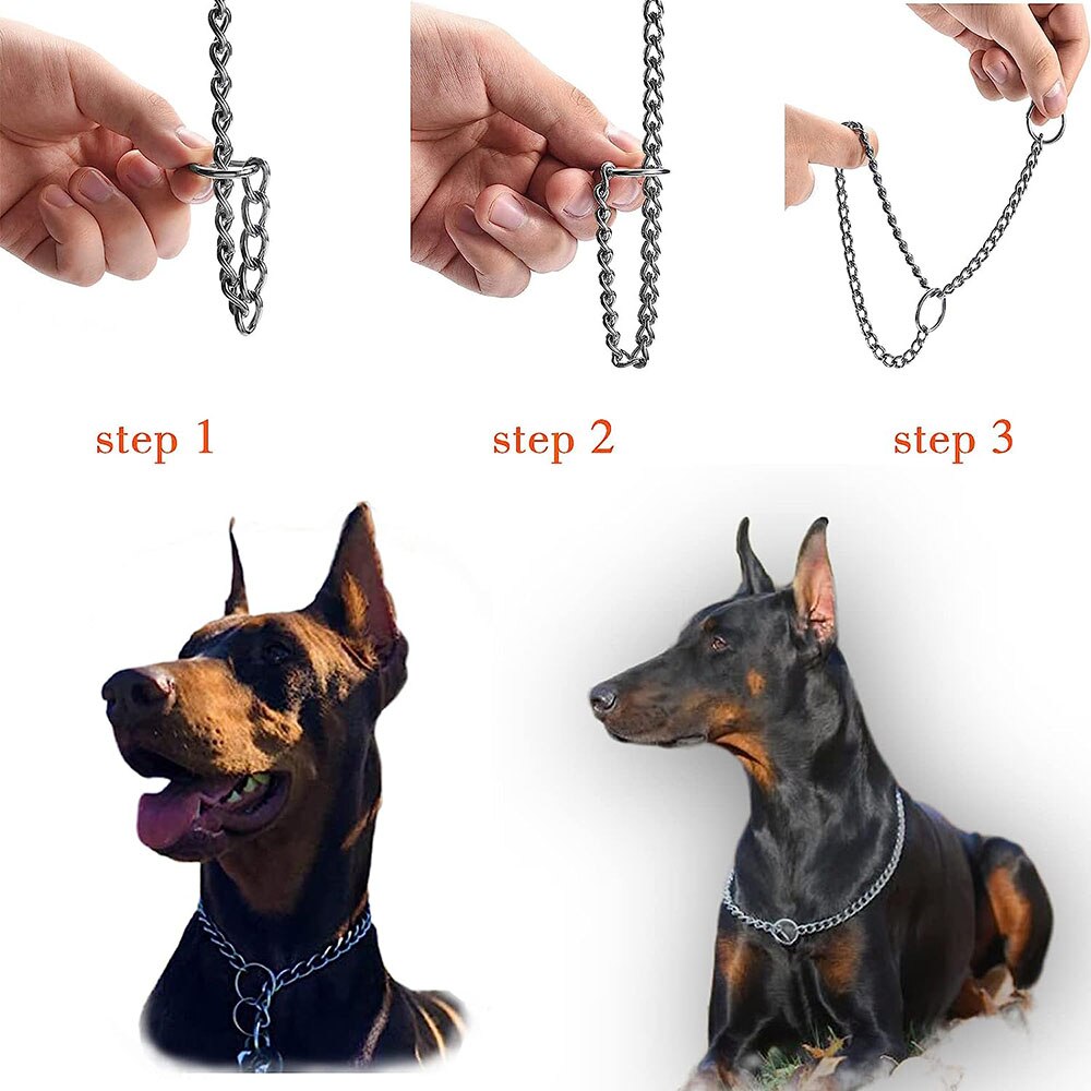 Metal Slip Chain Collar | Chew-Proof Design | Training & Obedience