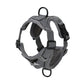 Reflective Cats Harness Leash | S-XL Available