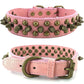 Spiked Dog Collar with Mushroom Rivets