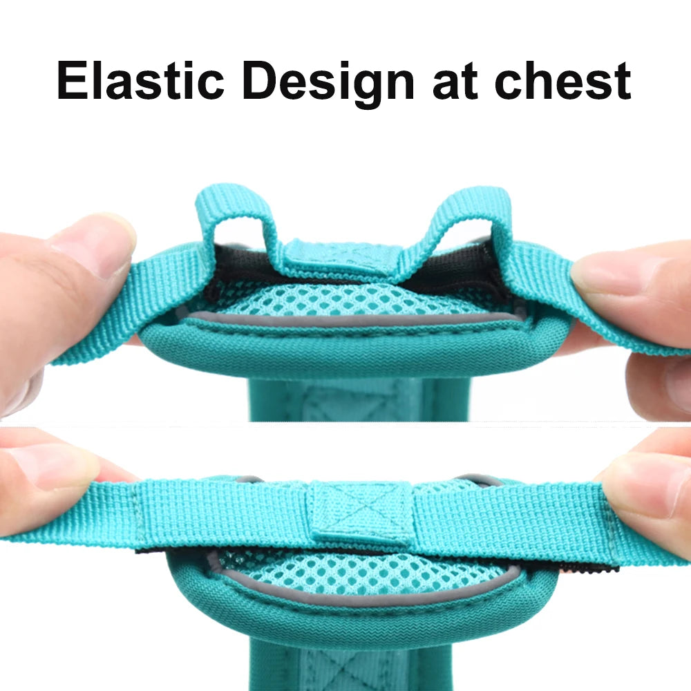 Cat Harness and Leash Set | Reflective & Breathable