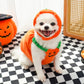 Creative Dog Pumpkin Costume