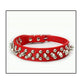 Spiked Dog Collar with Mushroom Rivets