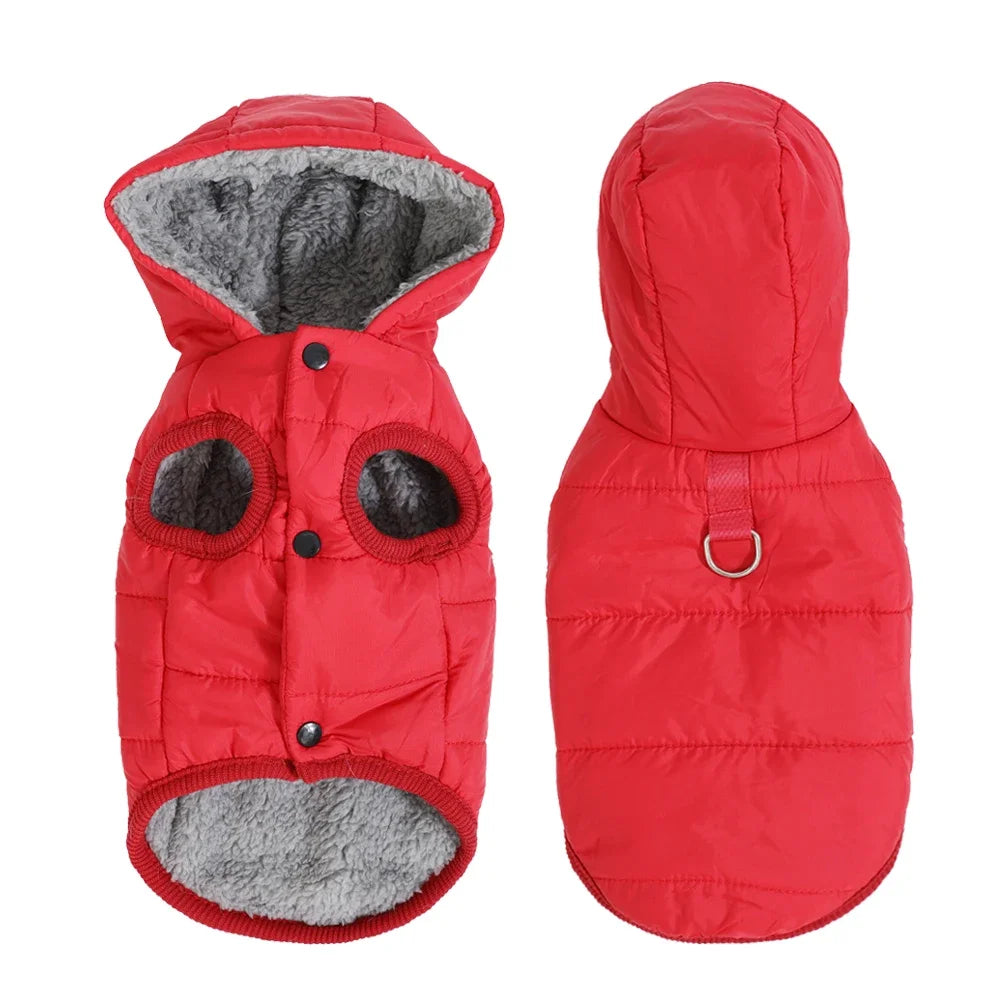 Warm Cats Hoodie Coat | Windproof & Fleece
