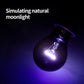 Star-Moon Heating Lamp | Nighttime Infrared Heat Source for Reptiles | 35W, 50W, 75W, 100W