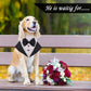 Adjustable Dog Bandanas with Gentleman Bow Tie | Novelty Dogs Neckerchief for Wedding | Pet Triangular Bibs Scarfs