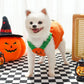 Creative Dog Pumpkin Costume