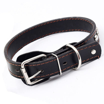 Studded Collar | Adjustable Leather Collar for Medium to Large Dogs