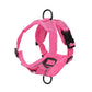 Cat Harness and Leash Set | Reflective & Breathable