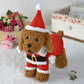Dog Santa Claus Outfit | XS - XL Available