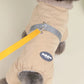 Winter Warm Jumpsuit for Small Dogs