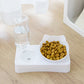 Raised Pet Feeder with Water Dispenser