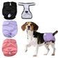 Reusable Female Dog Diapers | XS - XL Available