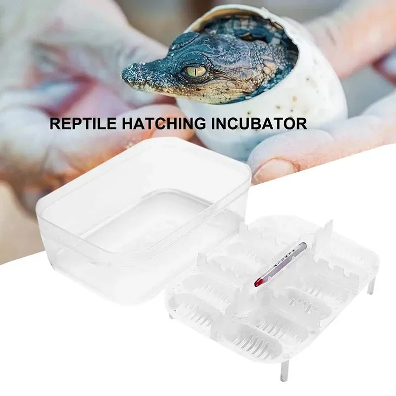 12 Egg Position Incubation Box for Reptiles and Amphibians | Durable Egg Holder and Hatching Box with Integrated Thermometer