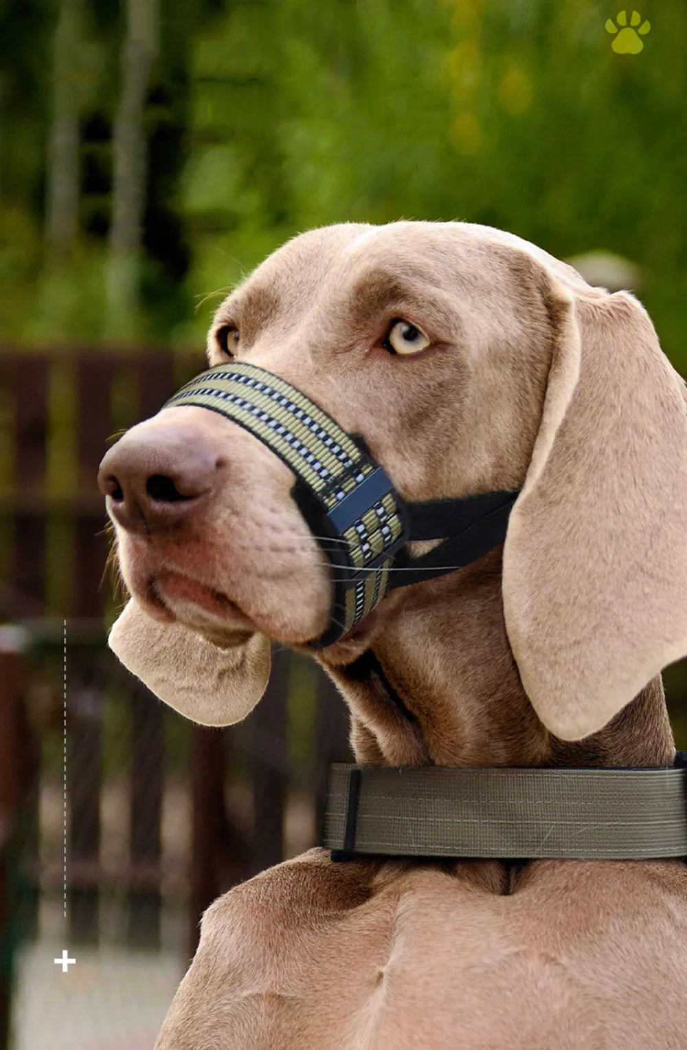 Quick Release Dog Muzzle | Reflective Qualities