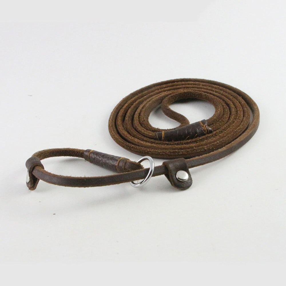 Handmade Genuine Leather Slip Dog Leash for Small to Medium Dogs | Soft and Durable Training & Walking Collar