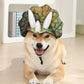 Adjustable Dinosaur Hat for Dogs