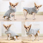 Warm Winter Reversible Dog Jacket