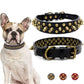 Spiked Dog Collar with Mushroom Rivets