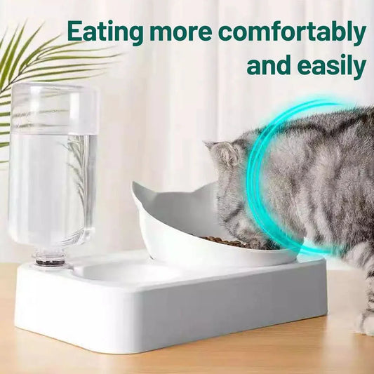 Raised Pet Feeder with Water Dispenser