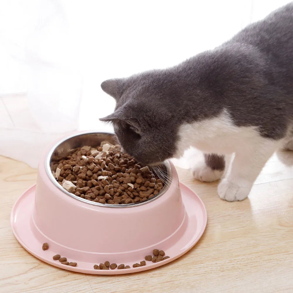 Tilted Food Dish with Non-Skid Stand
