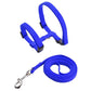 Adjustable Harness and Leash Set | Cozy Nylon Harness for Cats, Kittens, and Small Dogs