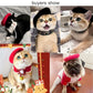 Wool Puppy Beret | Adjustable Pet Hat