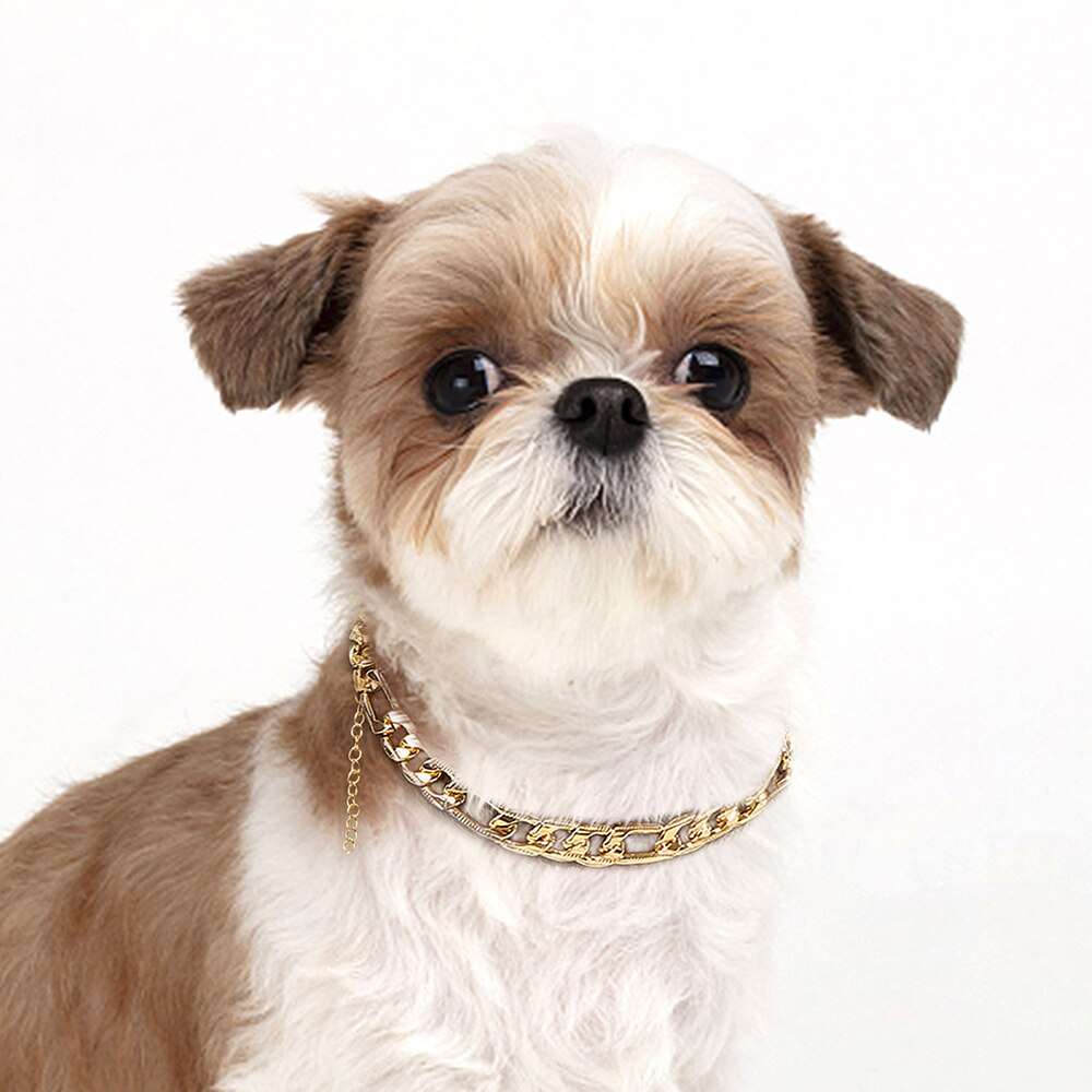 Adjustable Metal Pet Chain Collar for Small Dogs and Cats | Gold Colour Training Slip Collar Necklace