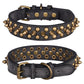 Spiked Dog Collar with Mushroom Rivets