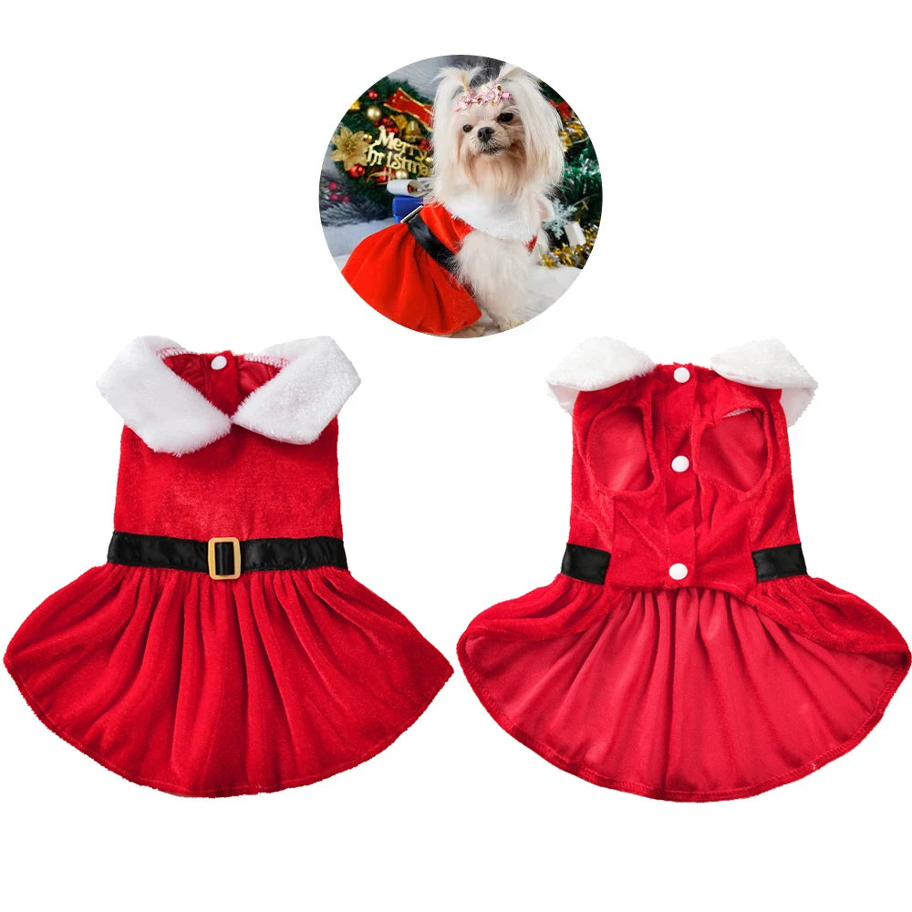 Pet Dresses | Christmas Party Skirt | S-XL