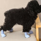 Rainshoe Pet Boots | Waterproof