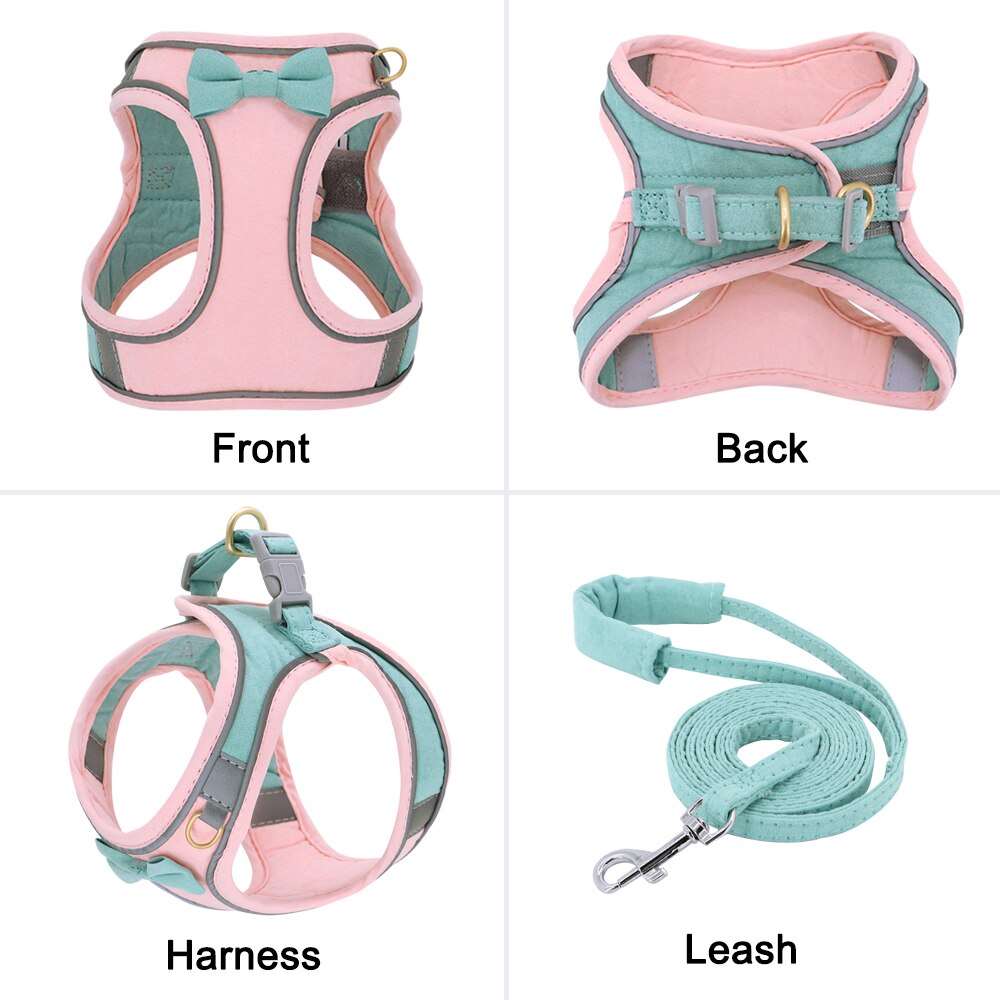 Adjustable Dog Harness with Leash Set for Small Dogs and Cats | Breathable Pet Chest Vest and Leash | Pet Accessories