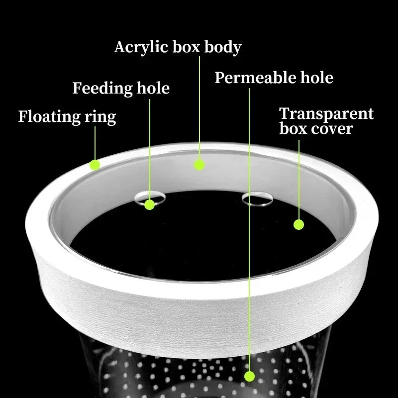 Floating Acrylic Fish Tank Isolation Box | Aquarium Breeding & Hatching Container