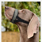 Quick Release Dog Muzzle | Reflective Qualities