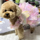 Rainbow Butterfly Dress | for Cats and Dogs