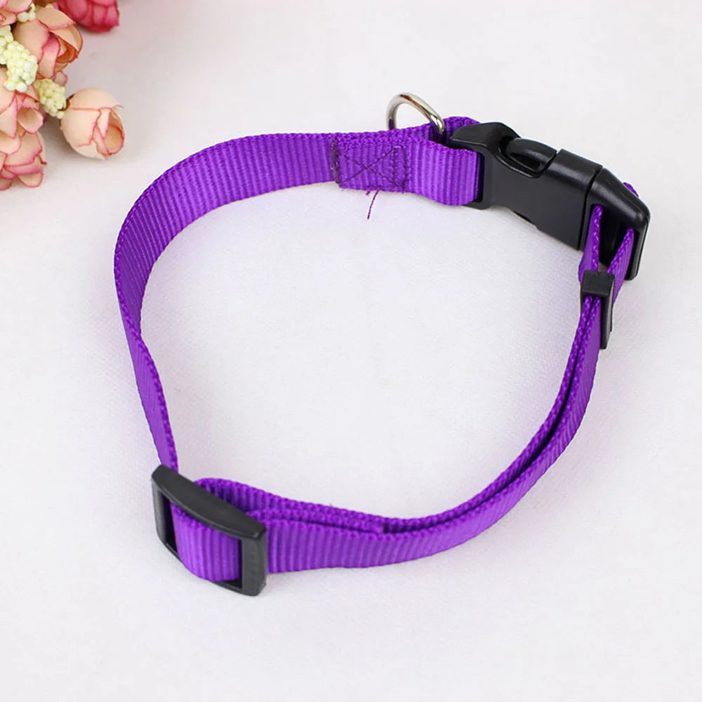 Soft Nylon Dog Collar with Quick Release