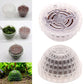 Aquarium Moss Ball Dome | Decorative Fish Tank Moss Holder for Aquatic Plants & Shrimp Habitat