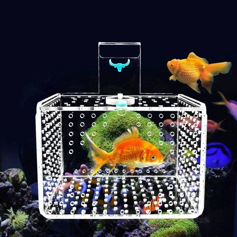 Acrylic Fish Tank Isolation Breeding Box | Transparent Aquarium Fry Incubator for Small Fish and Fry Protection