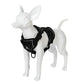 Reflective Cats Harness Leash | S-XL Available