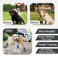 Dog Collar for Anti-Pull Training with Metal Buckle