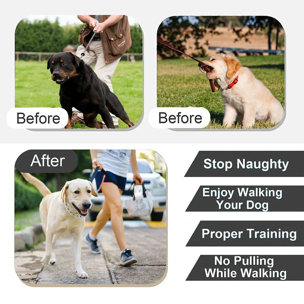 Dog Collar for Anti-Pull Training with Metal Buckle