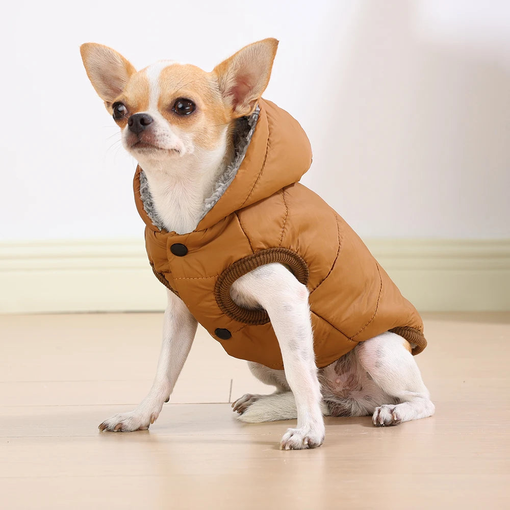 Warm Cats Hoodie Coat | Windproof & Fleece