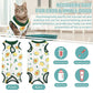 Cat Recovery Suit | E-Collar Alternative
