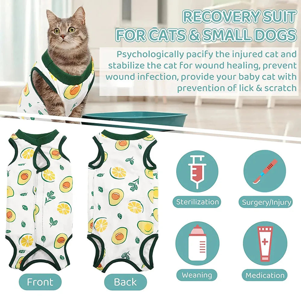 Cat Recovery Suit | E-Collar Alternative