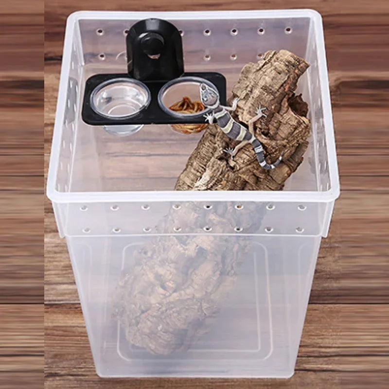 Minimally Designed Dual-Use Feeding Basin | Ideal for Amphibians and Reptiles