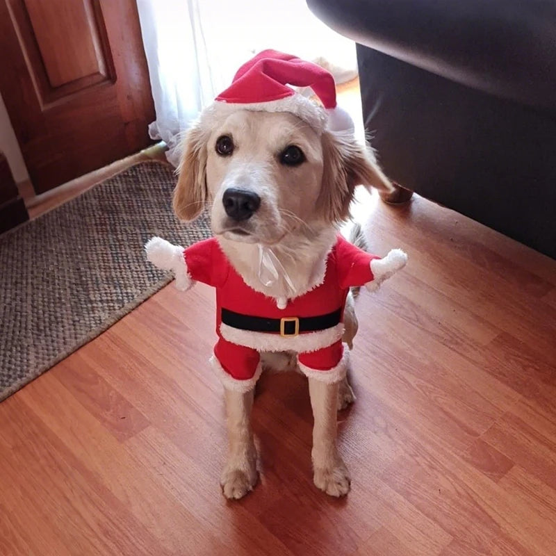 Dog Santa Claus Outfit | XS - XL Available
