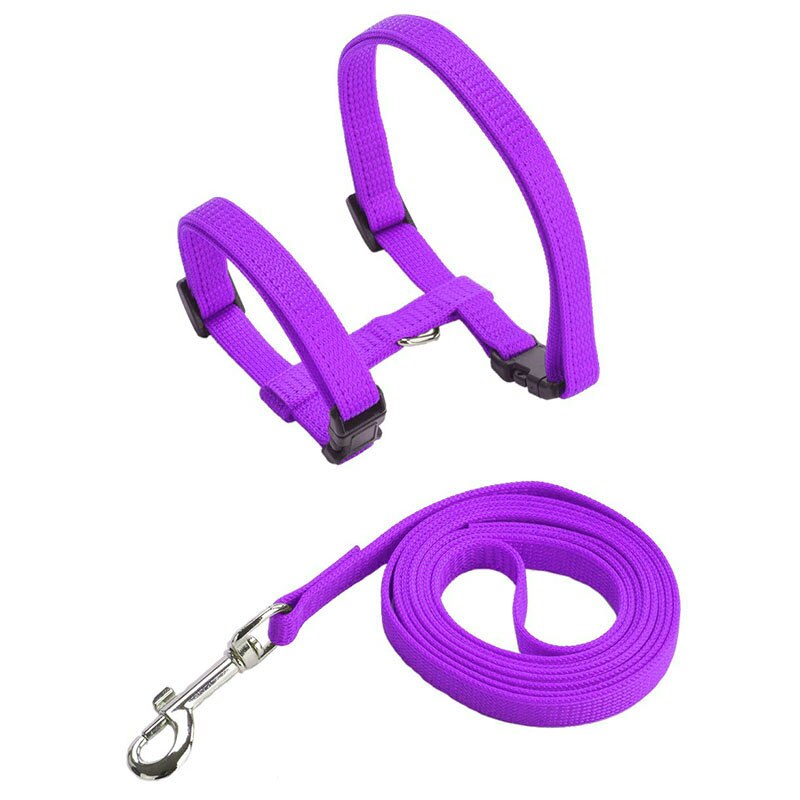 Adjustable Harness and Leash Set | Cozy Nylon Harness for Cats, Kittens, and Small Dogs