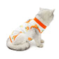 Cat Recovery Suit | E-Collar Alternative