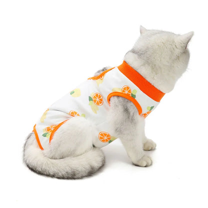 Cat Recovery Suit | E-Collar Alternative