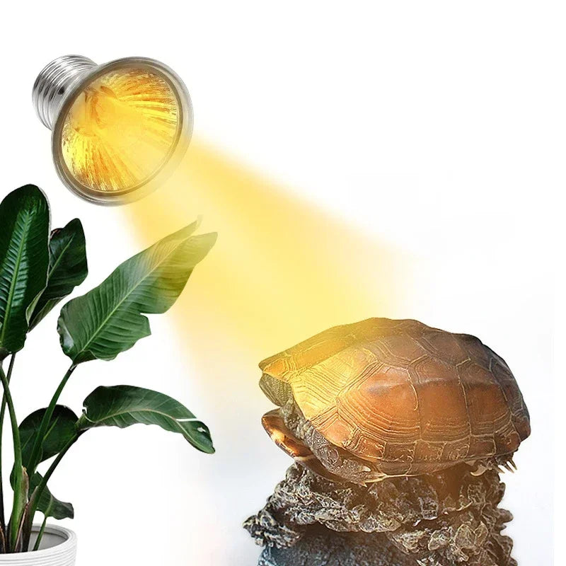 UVA+UVB Reptile Lamp | Essential Light and Heat for Optimal Habitat Care
