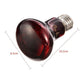 Red Glass Infrared Heat Lamp | Versatile Power Options